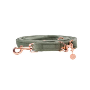 Nachhaltige Hundeleine Velvet Salbei mit Rosegold, Silber oder Gold