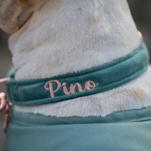 Alternative view of Nachhaltiges Hundehalsband Velvet Jadegrün mit Rosegold, Silber oder Gold