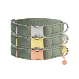 Nachhaltiges Hundehalsband Velvet Salbei mit Rosegold, Silber oder Gold