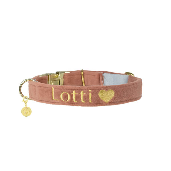 Nachhaltiges Hundehalsband Velvet Sanddorn mit Rosegold, Silber oder Gold – Bild 2