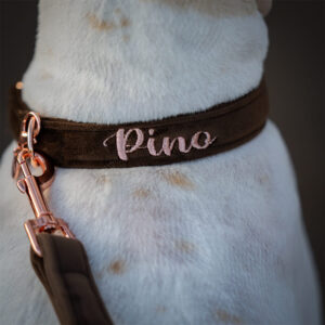Alternative view of Nachhaltiges Hundehalsband Velvet Braun mit Rosegold, Silber oder Gold