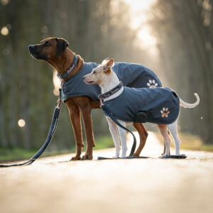 Alternative view of Regenhundemantel Anthrazit