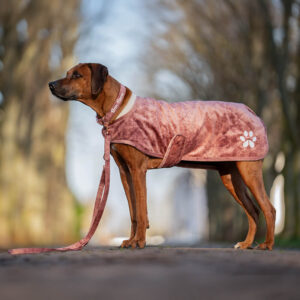 Alternative view of Nachhaltiges Hundehalsband Velvet Mauve mit Rosegold oder Silber