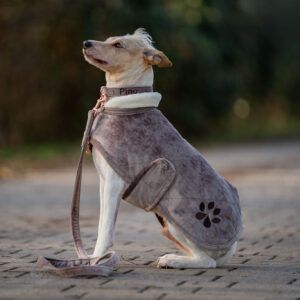 Alternative view of Nachhaltiges Hundehalsband Velvet Mocca mit Rosegold, Silber oder Gold