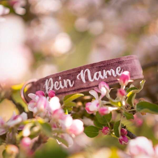Nachhaltiges Hundehalsband Velvet Mauve mit Rosegold oder Silber – Bild 3