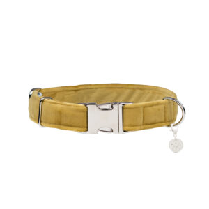 Nachhaltiges Hundehalsband Velvet Gold mit Silber