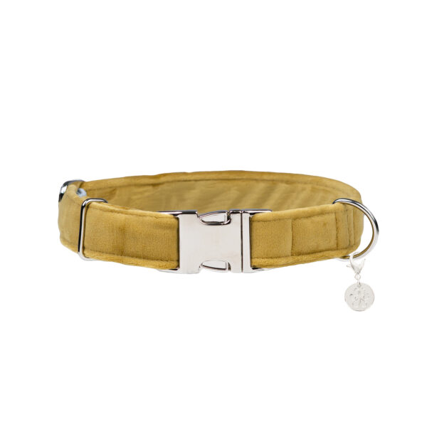 Nachhaltige Hundeleine Velvet Gold mit Silber – Bild 3
