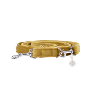 Nachhaltige Hundeleine Velvet Gold mit Silber