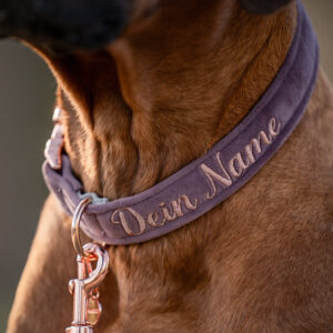 Alternative view of Nachhaltiges Hundehalsband Velvet Lila mit Rosegold oder Silber