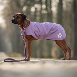 Alternative view of Regenhundemantel Flieder