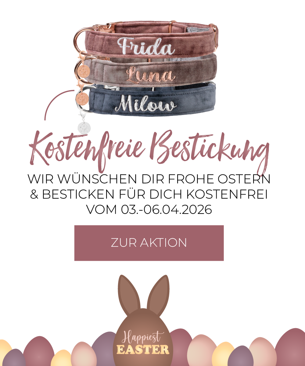 26-04-02-Osteraktion_Aminior_mobile